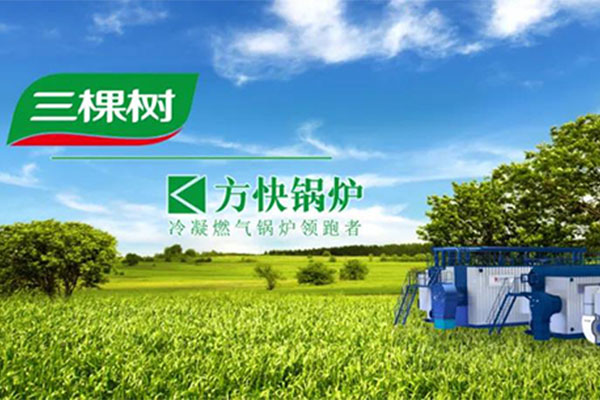 方快鍋爐與三棵樹集團深化戰略合作 共筑綠色制造新標桿