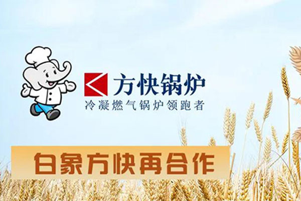 方快鍋爐助力白象食品綠色升級 山東燃煤改造項目圓滿落地